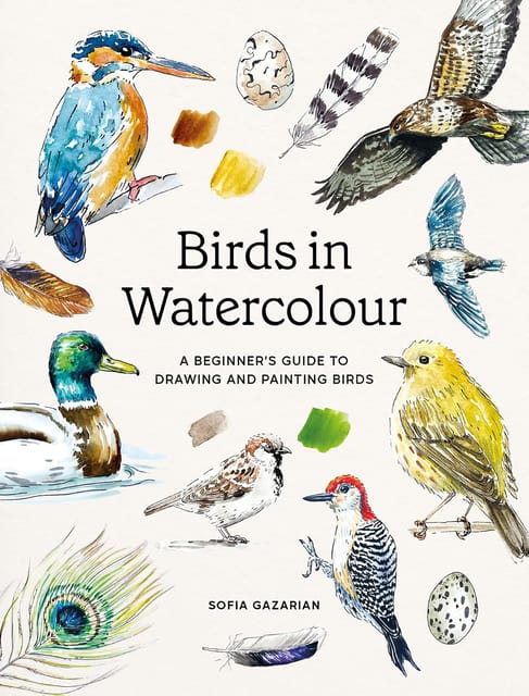 Birds In Watercolour A Beginners Guide To Drawing And Painting Birds