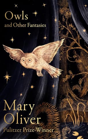 Owls And Other Fantasies