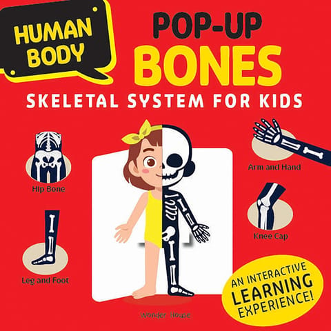 Human Body Pop-up Bones Skeletal System For Kids