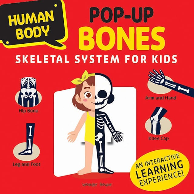 Human Body Pop-up Bones Skeletal System For Kids