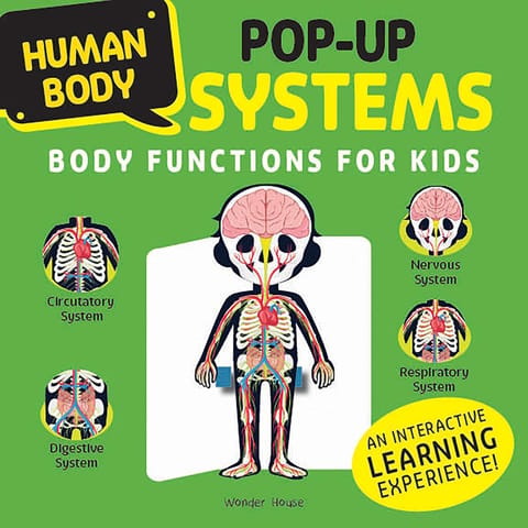 Human Body Pop-up Systems Body Functions For Kids